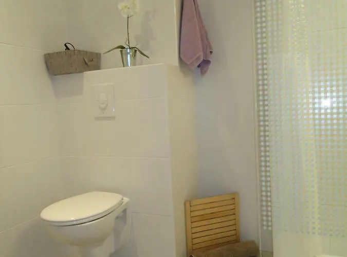 Flat Calvi (Corsica)